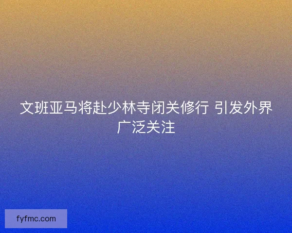 文班亚马将赴少林寺闭关修行 引发外界广泛关注