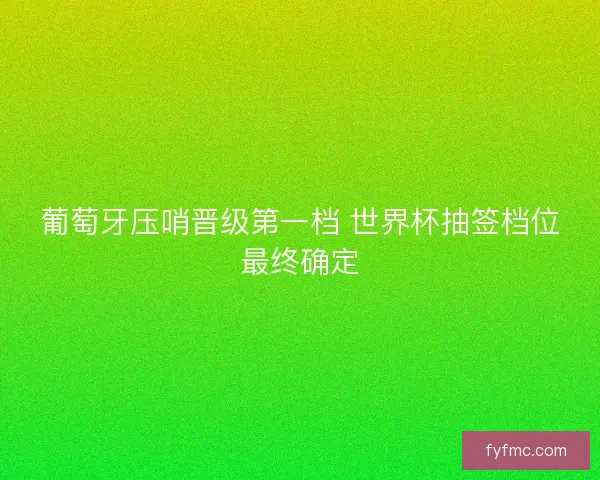 葡萄牙压哨晋级第一档 世界杯抽签档位最终确定 葡萄牙压哨晋级第一档 世界杯抽签档位最终确定