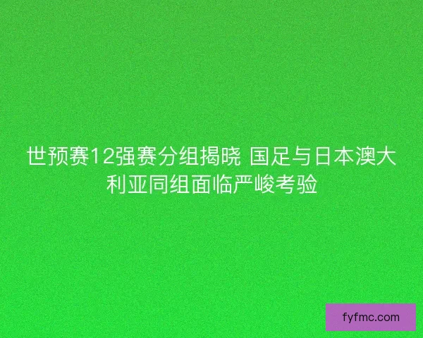 世预赛12强赛分组揭晓 国足与日本澳大利亚同组面临严峻考验 世预赛12强赛分组揭晓 国足与日本澳大利亚同组面临严峻考验